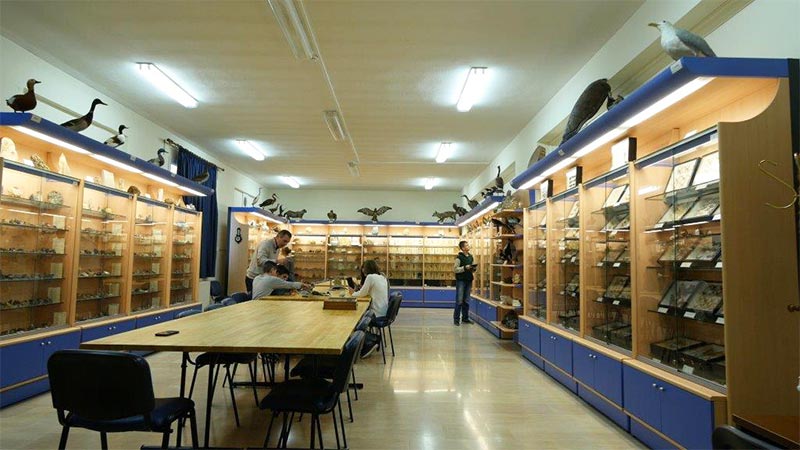 Μουσείο Φυσικής Ιστορίας