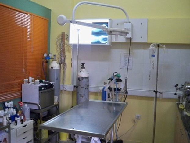 KOMBO VET - KTINIATRIKO KENTRO AGION ANARGYRON: Φωτογραφίες & Βίντεο