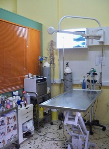 KOMBO VET - KTINIATRIKO KENTRO AGION ANARGYRON: Φωτογραφίες & Βίντεο