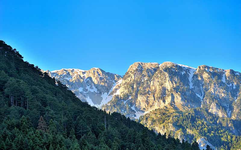 KONITSA MOUNTAIN HOTEL: Φωτογραφίες & Βίντεο