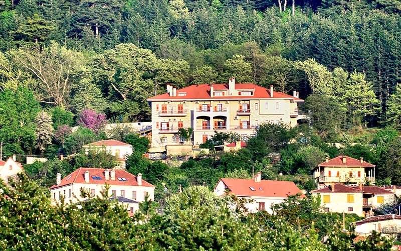 KONITSA MOUNTAIN HOTEL: Φωτογραφίες & Βίντεο
