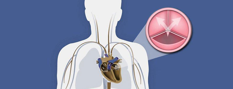 KONTOS Ch. VASILEIOS MD, MSc: Φωτογραφίες & Βίντεο