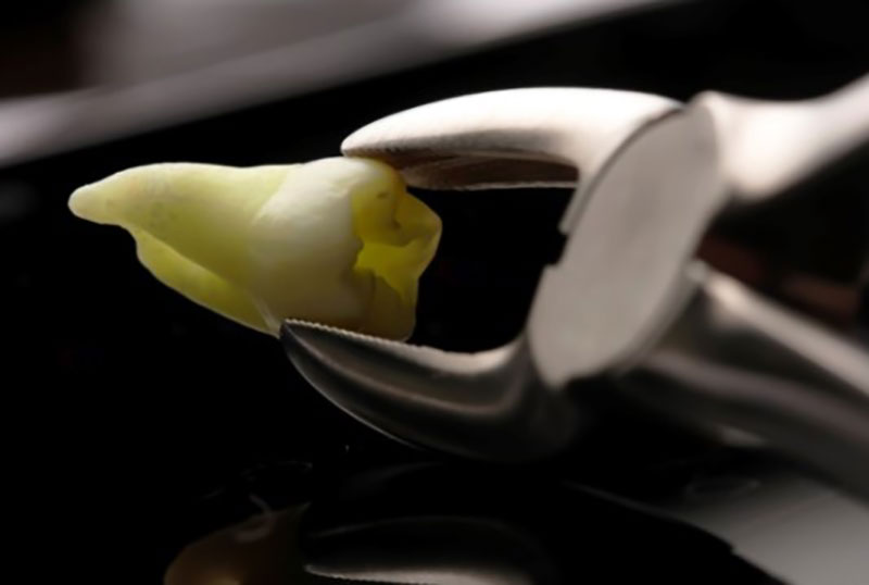 KONTOS DENTAL: Φωτογραφίες & Βίντεο