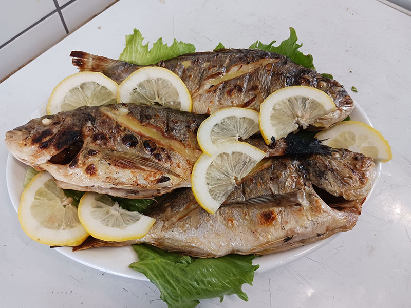 KOPIASTE: Φωτογραφίες & Βίντεο