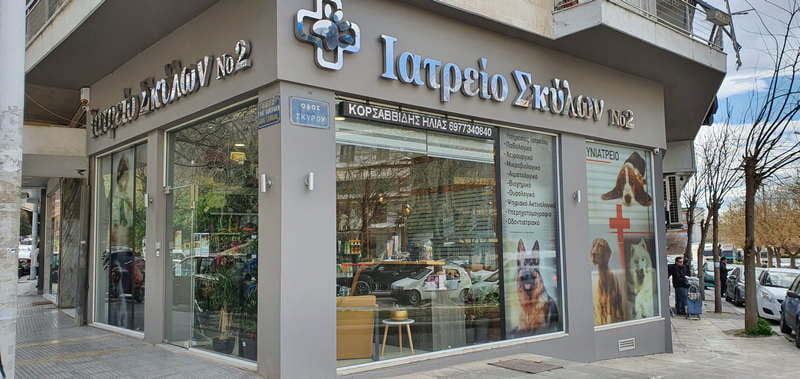 ΚΟΡΣΑΒΒΙΔΗΣ ΗΛΙΑΣ: Φωτογραφίες & Βίντεο