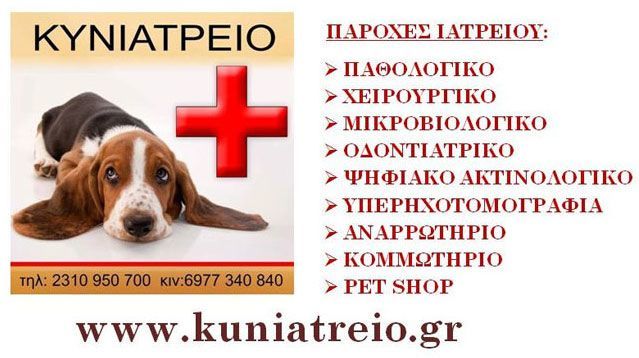 KORSAVVIDIS ILIAS: Φωτογραφίες & Βίντεο