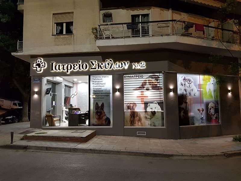 KORSAVVIDIS ILIAS: Φωτογραφίες & Βίντεο