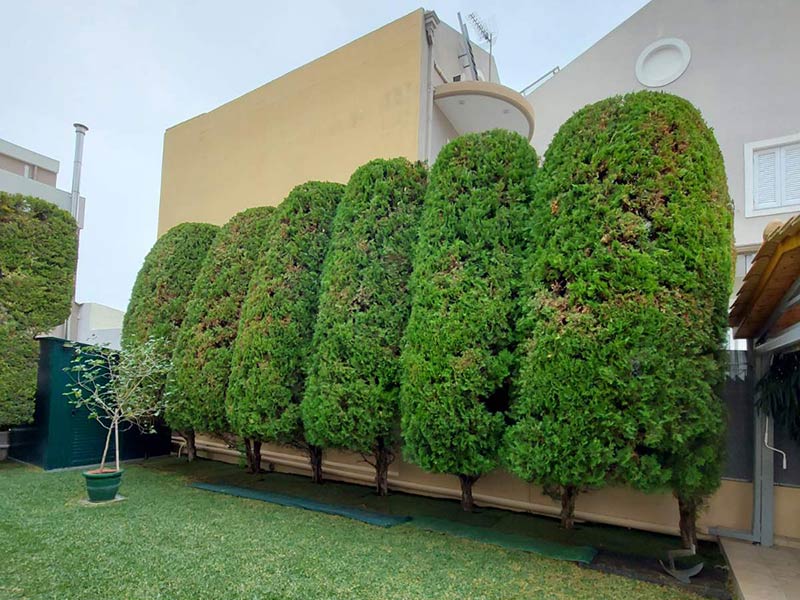 KOTSIFAS GARDENING: Φωτογραφίες & Βίντεο