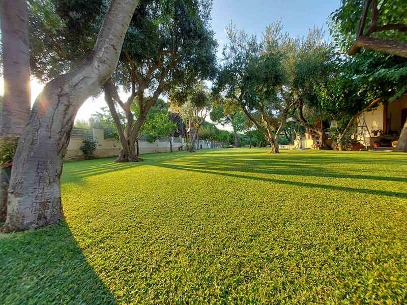 KOTSIFAS GARDENING: Φωτογραφίες & Βίντεο