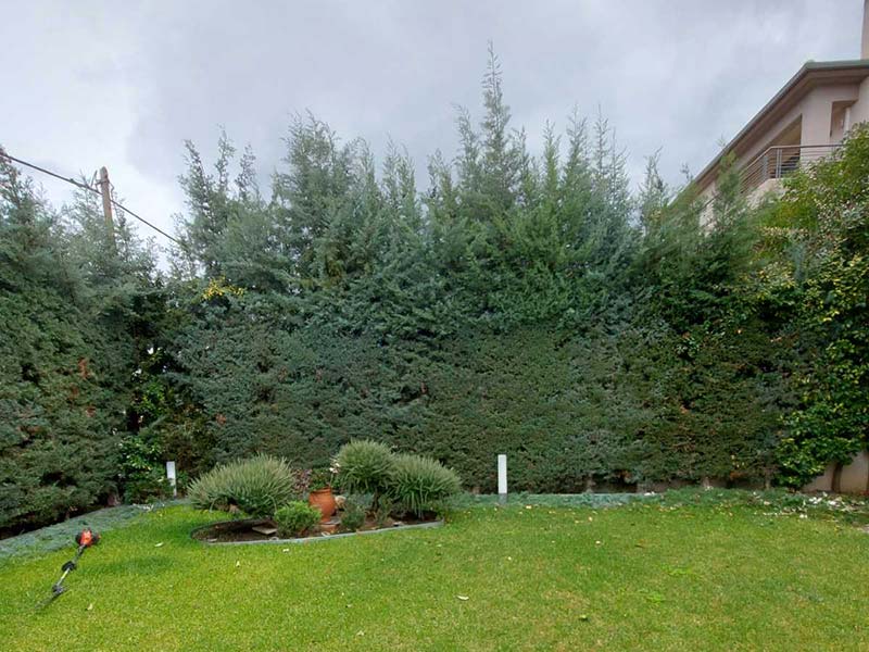 KOTSIFAS GARDENING: Φωτογραφίες & Βίντεο
