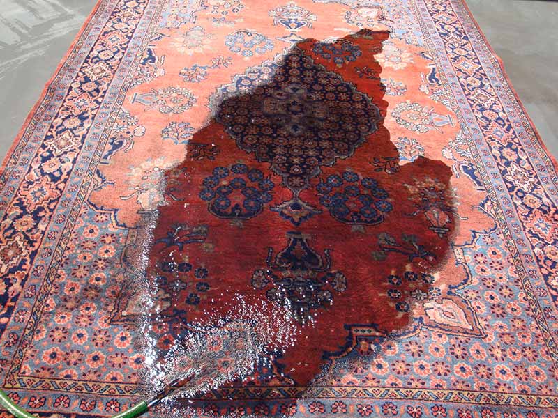 KOUROS CARPETS CLEANING: Φωτογραφίες & Βίντεο