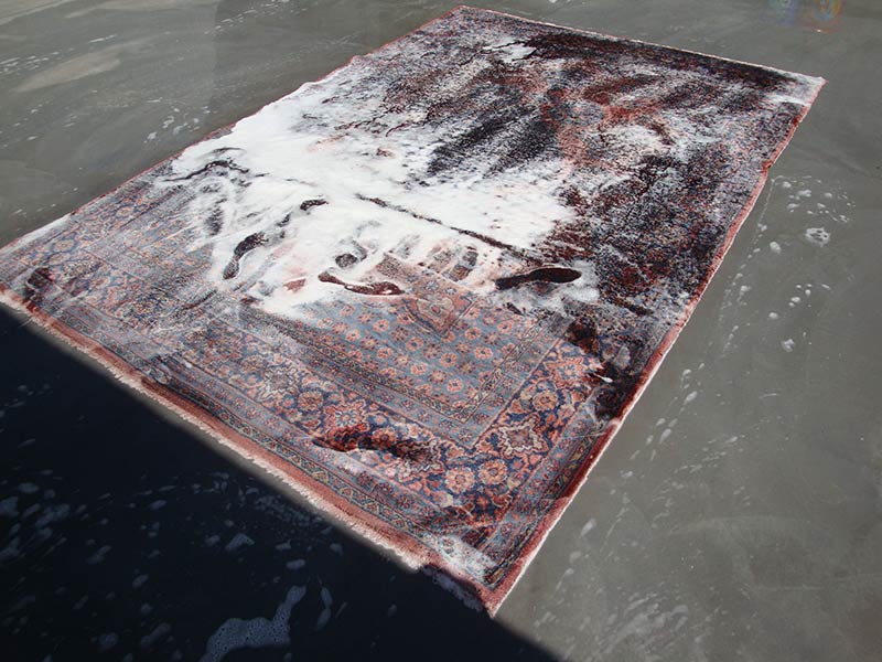 KOUROS CARPETS CLEANING: Φωτογραφίες & Βίντεο
