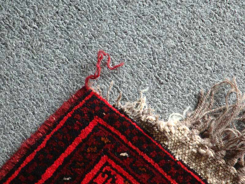 KOUROS CARPETS CLEANING: Φωτογραφίες & Βίντεο
