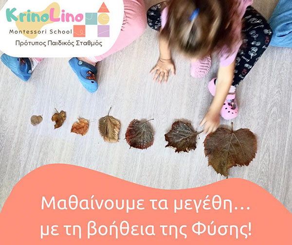KRINOLINO MONTESSORI SCHOOL: Φωτογραφίες & Βίντεο