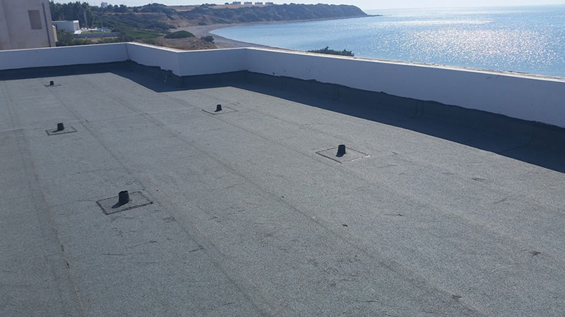 ΚΡΗΤΙΚΟΣ ΕΛΕΥΘΕΡΙΟΣ: Φωτογραφίες & Βίντεο