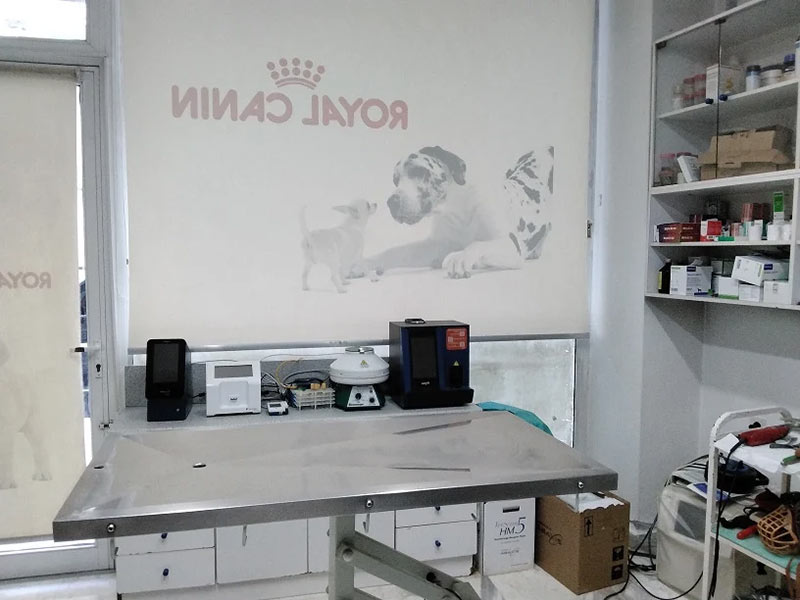 ΚΤΗΝΙΑΤΡΙΚΗ ΚΛΙΝΙΚΗ ΓΕΩΡΓΙΑΔΗ: Φωτογραφίες & Βίντεο
