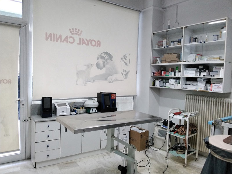 ΚΤΗΝΙΑΤΡΙΚΗ ΚΛΙΝΙΚΗ ΓΕΩΡΓΙΑΔΗ: Φωτογραφίες & Βίντεο