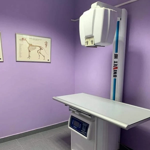 ΚΤΗΝΙΑΤΡΙΚΗ ΚΛΙΝΙΚΗ ΓΕΩΡΓΙΑΔΗ: Φωτογραφίες & Βίντεο