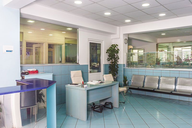 KTINIATRIKI KLINIKI PARASYRI KORINA: Φωτογραφίες & Βίντεο