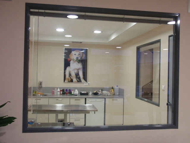 1st laboratory