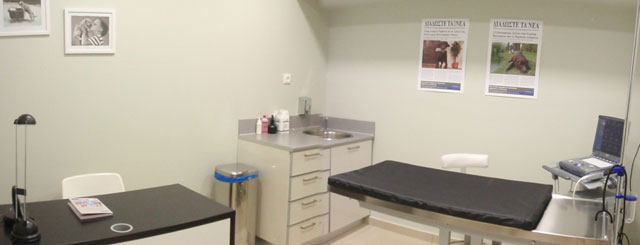 2nd laboratory with the possibility of ultrasound scanning