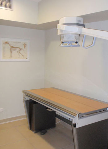 X-ray area