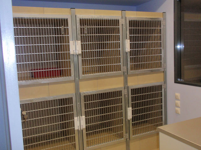 Cat treatment space