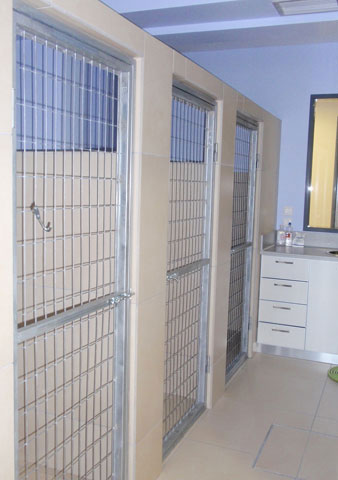 Dog treatment space