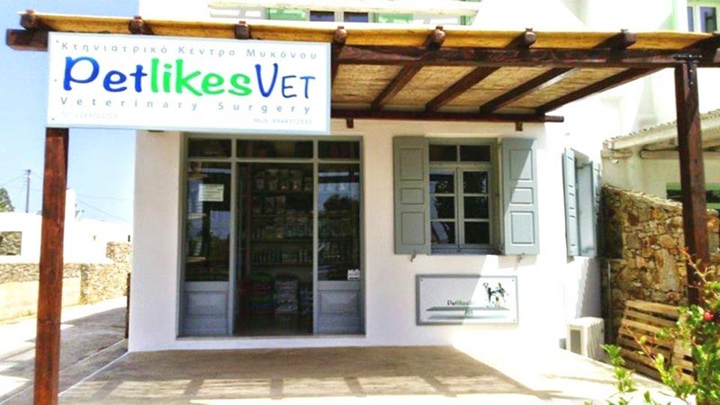 KTINIATRIKO KENTRO MYKONOU - TRIANTAFYLLOU NIKOLAOS Dr: Φωτογραφίες & Βίντεο