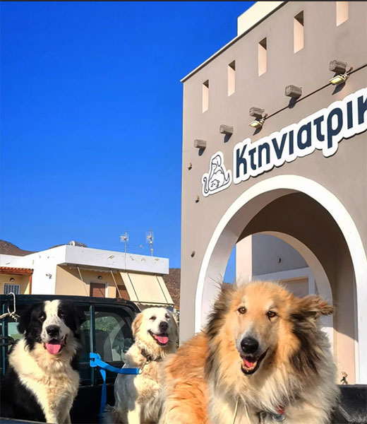 KTINIATRIKO KENTRO NAXOU - NAXOS VET CENTER: Φωτογραφίες & Βίντεο