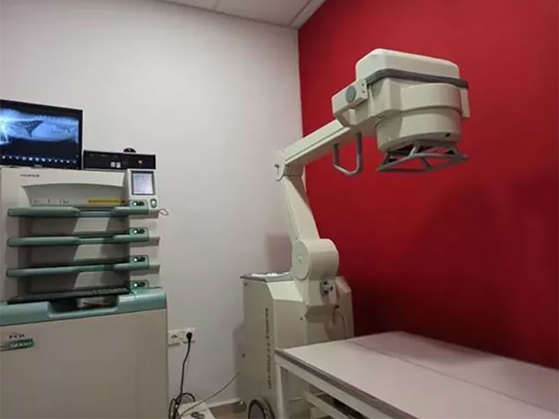 KTINIATRIKO KENTRO NAXOU - NAXOS VET CENTER: Φωτογραφίες & Βίντεο