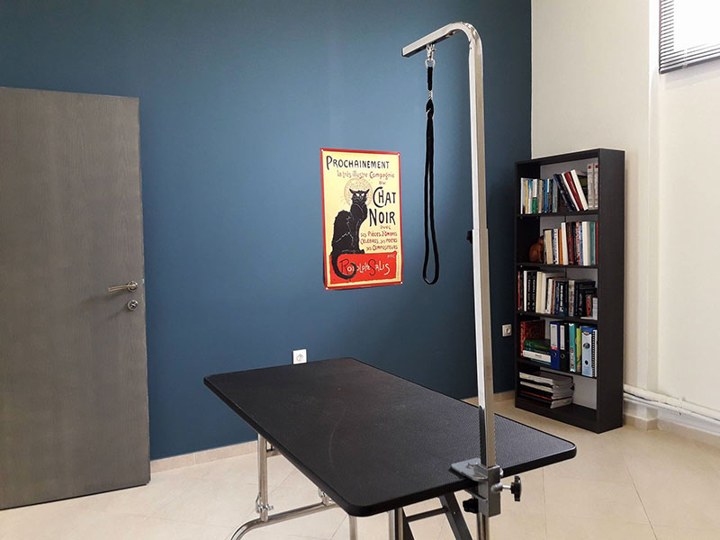 KTINIATRIKO KENTRO NAXOU - NAXOS VET CENTER: Φωτογραφίες & Βίντεο