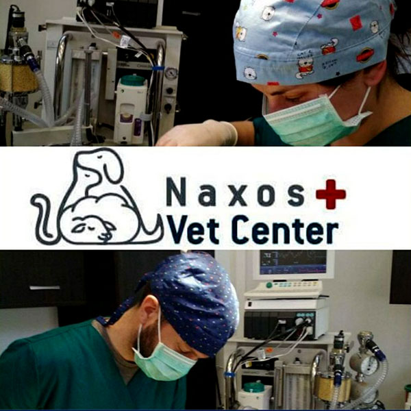 KTINIATRIKO KENTRO NAXOU - NAXOS VET CENTER: Φωτογραφίες & Βίντεο