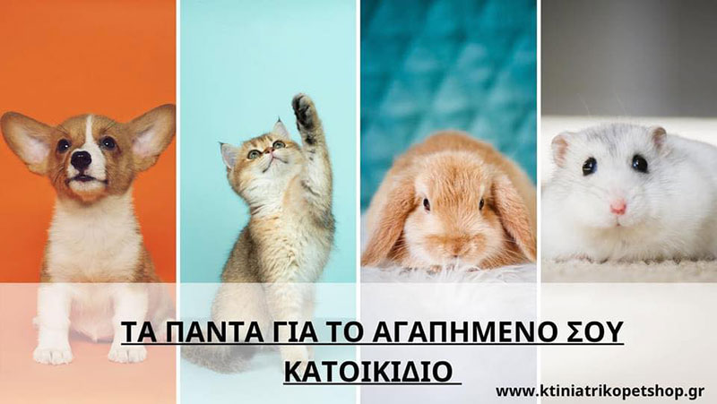 ΚΤΗΝΙΑΤΡΙΚΟ PET SHOP: Φωτογραφίες & Βίντεο