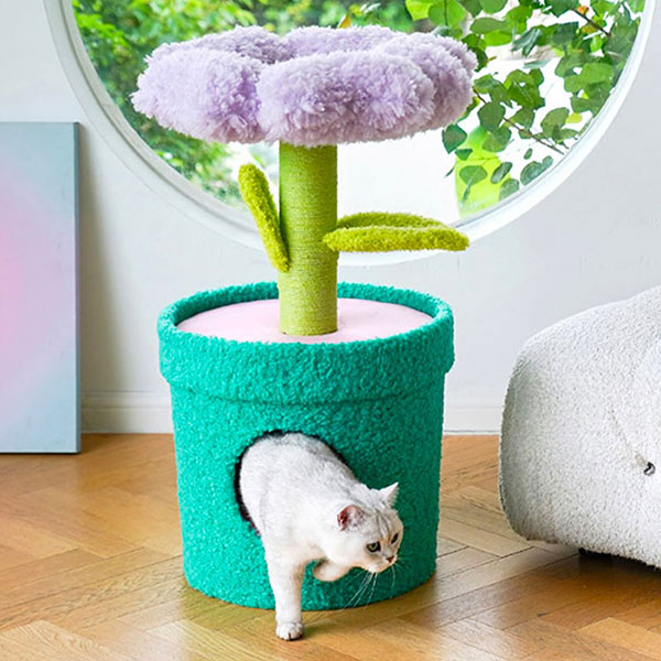 ΚΤΗΝΙΑΤΡΙΚΟ PET SHOP: Φωτογραφίες & Βίντεο