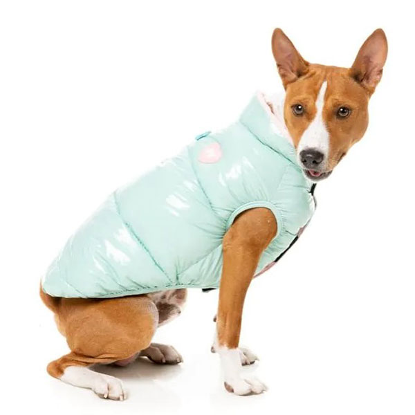ΚΤΗΝΙΑΤΡΙΚΟ PET SHOP: Φωτογραφίες & Βίντεο