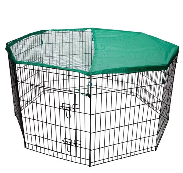 ΚΤΗΝΙΑΤΡΙΚΟ PET SHOP: Φωτογραφίες & Βίντεο