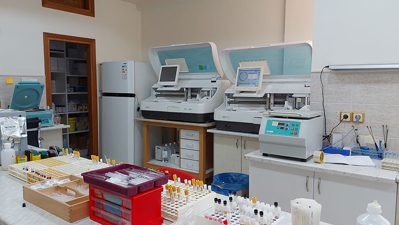 K LAB - ΚΑΣΤΡΗΣΙΟΥ ΚΑΤΕΡΙΝΑ: Φωτογραφίες & Βίντεο