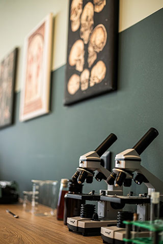 LABORATORIUM: Φωτογραφίες & Βίντεο