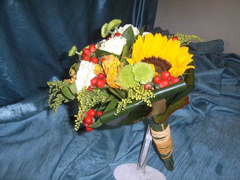 LA FLEUR - ΠΑΠΑΔΟΠΟΥΛΟΣ ΙΩΑΝΝΗΣ: Φωτογραφίες & Βίντεο