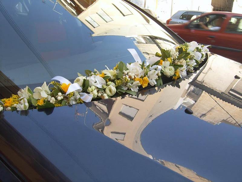 LA FLEUR - ΠΑΠΑΔΟΠΟΥΛΟΣ ΙΩΑΝΝΗΣ: Φωτογραφίες & Βίντεο