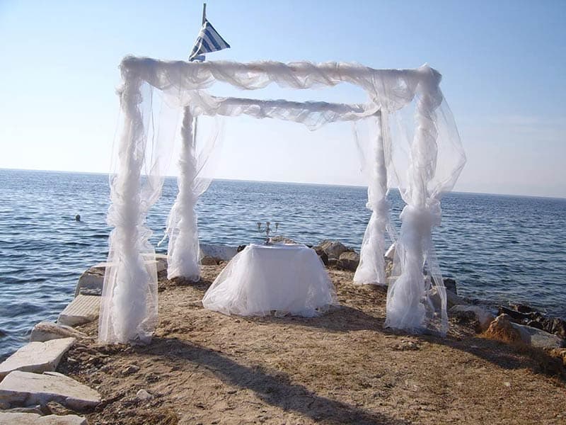 LA FLEUR - ΠΑΠΑΔΟΠΟΥΛΟΣ ΙΩΑΝΝΗΣ: Φωτογραφίες & Βίντεο