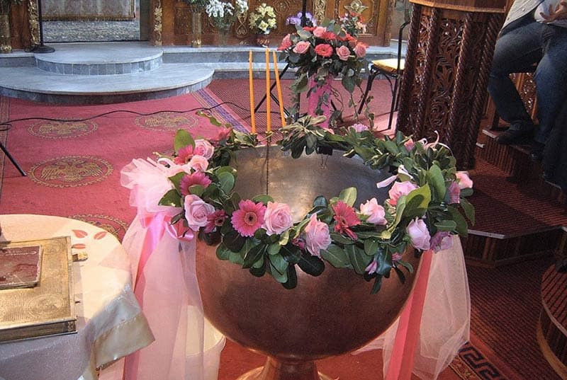 LA FLEUR - ΠΑΠΑΔΟΠΟΥΛΟΣ ΙΩΑΝΝΗΣ: Φωτογραφίες & Βίντεο