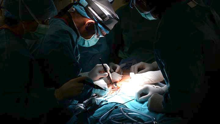 LEON GRIGORIS Dr.: Φωτογραφίες & Βίντεο