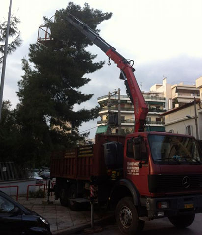LEVANTIS TRANS - LEVANTIS STEFANOS: Φωτογραφίες & Βίντεο