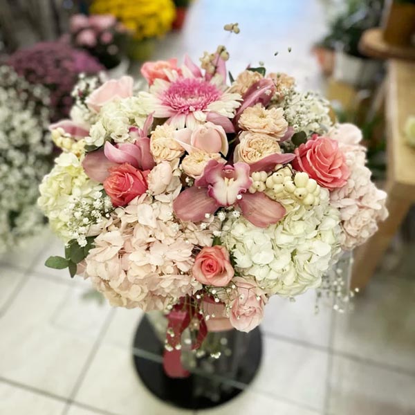 LE FLEURISTE: Φωτογραφίες & Βίντεο