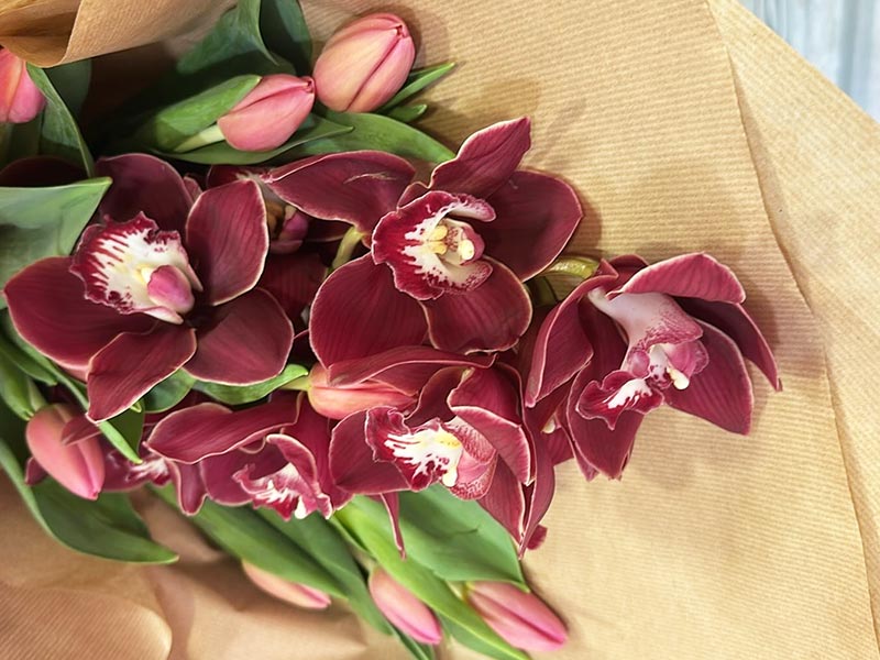 LE FLEURISTE: Φωτογραφίες & Βίντεο