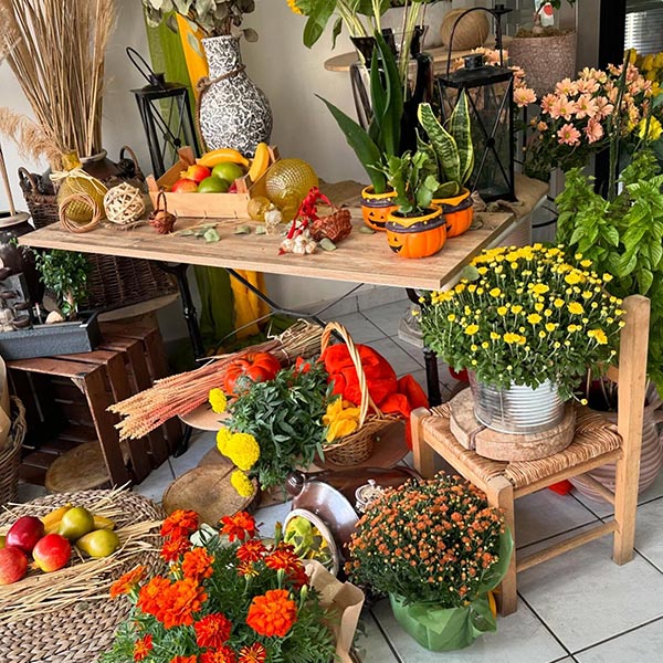 LE FLEURISTE: Φωτογραφίες & Βίντεο