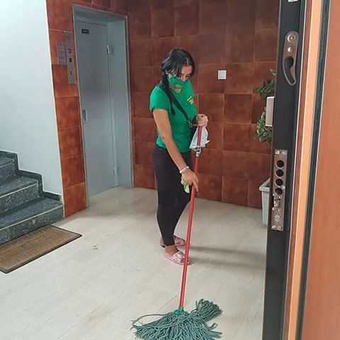 LIDA - THE BEST CLEANING SERVICES: Φωτογραφίες & Βίντεο