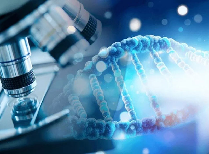 LIFECHECK ATHINON: Φωτογραφίες & Βίντεο